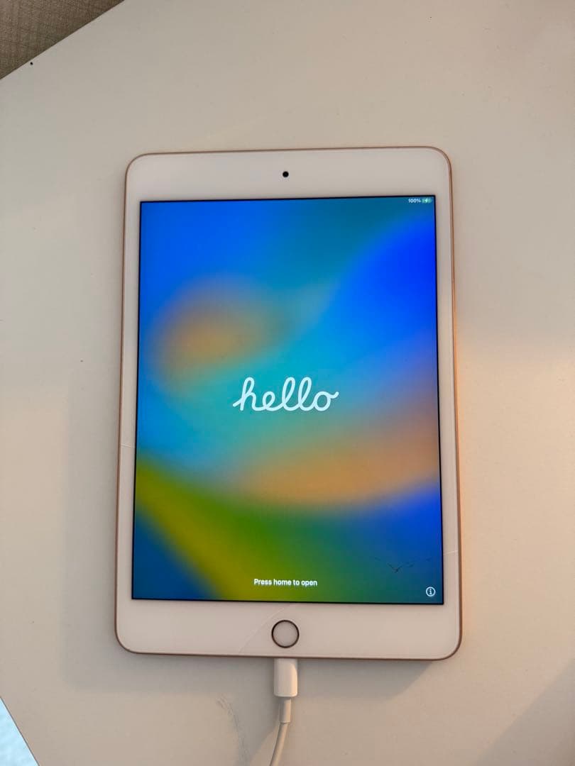 iPad mini 第5世代(ゴールド) 64GB バッテリー100%