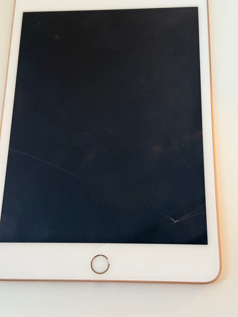 iPad mini 第5世代(ゴールド) 64GB バッテリー100%