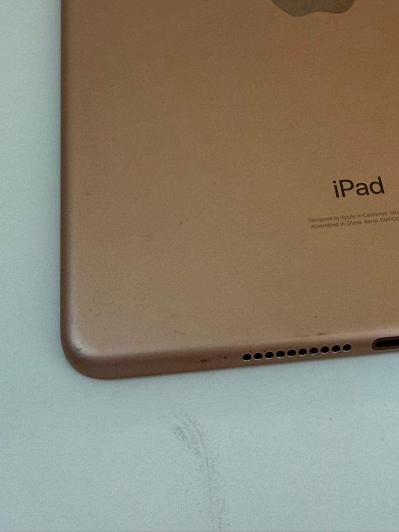 iPad mini 第5世代(ゴールド) 64GB バッテリー100%