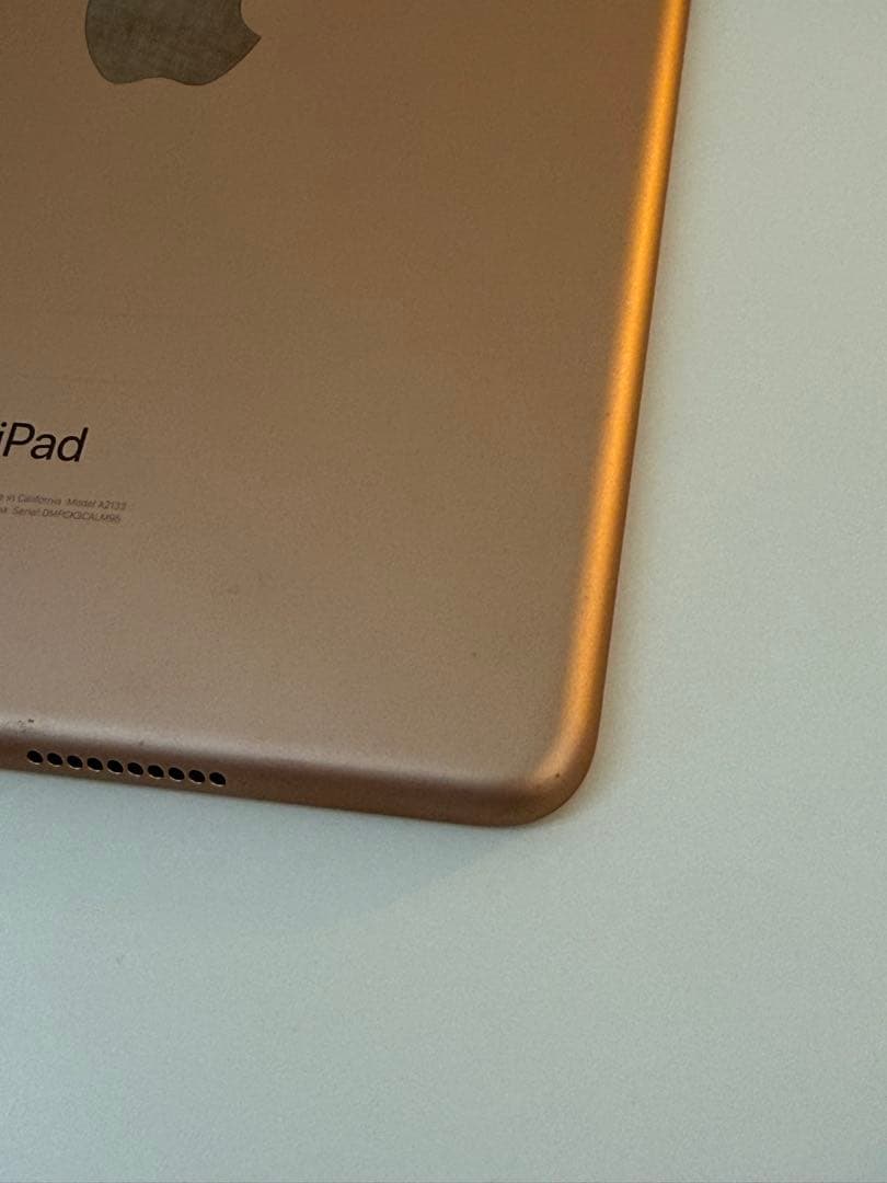 iPad mini 第5世代(ゴールド) 64GB バッテリー100%