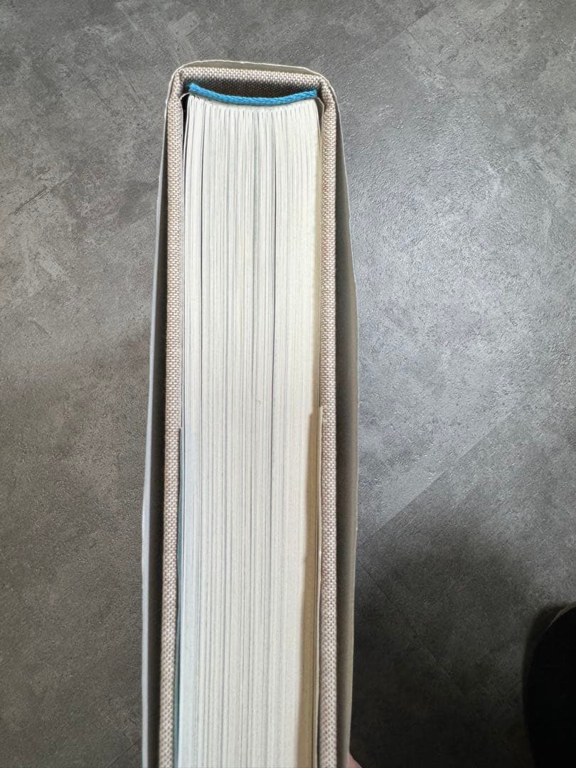 Peter Doig (Rizzoli Classics) ピーター・ドイグ