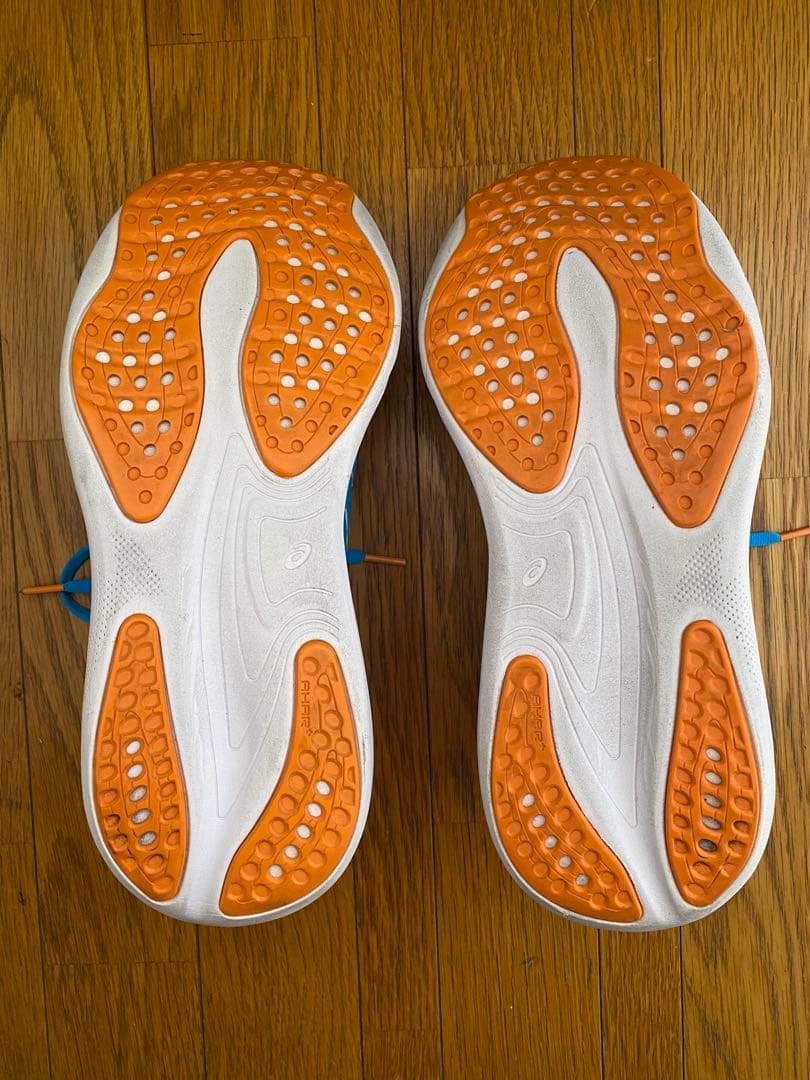 アシックス GEL-NIMBUS 25 ゲルニンバス 25 26.5㎝