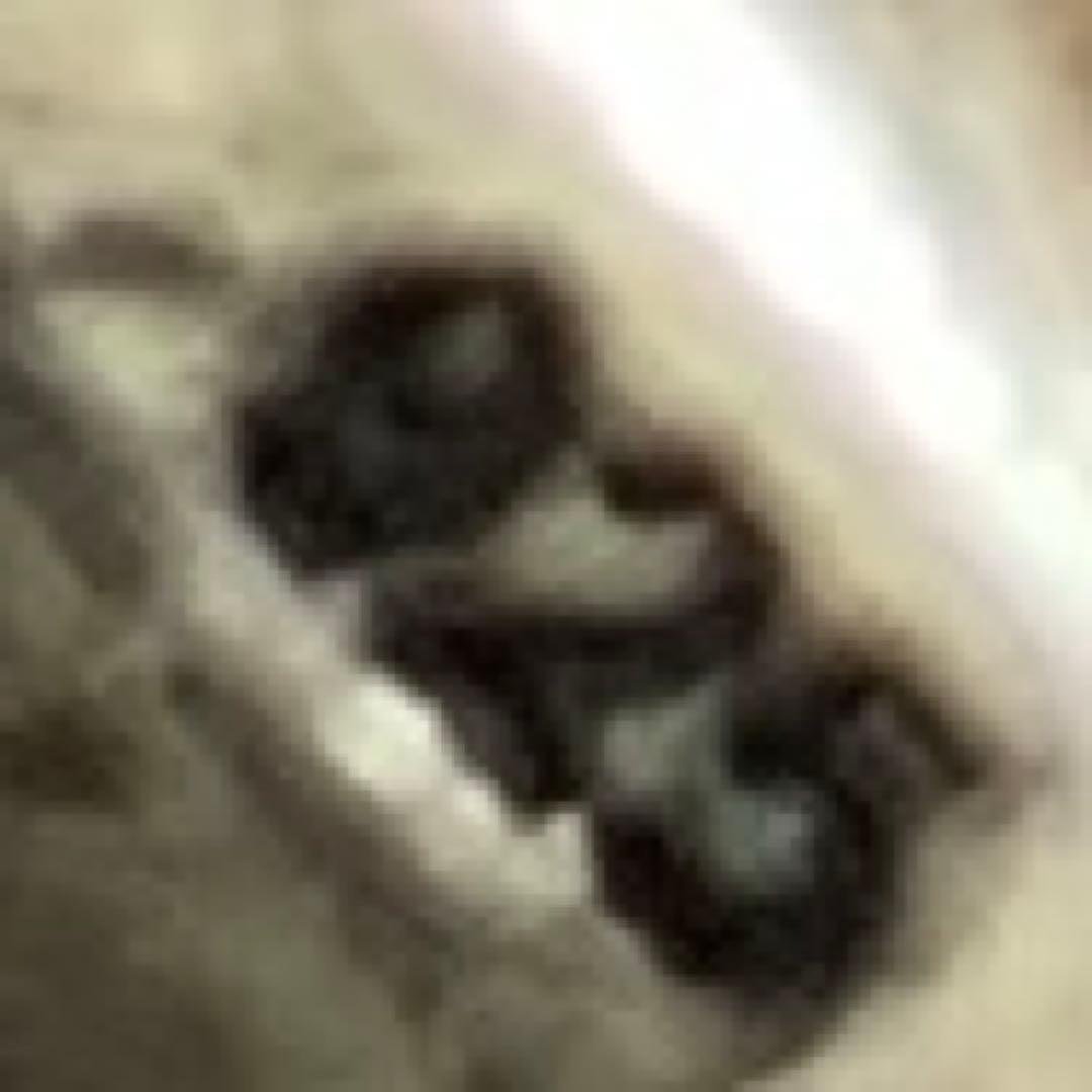 Y*t様 argent gleam lost control sv925