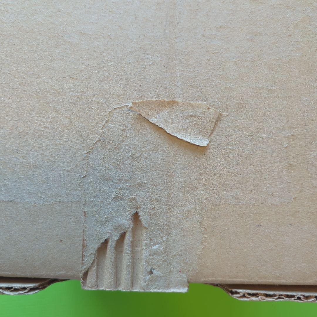 Amway　eSpring 浄水器II　新品