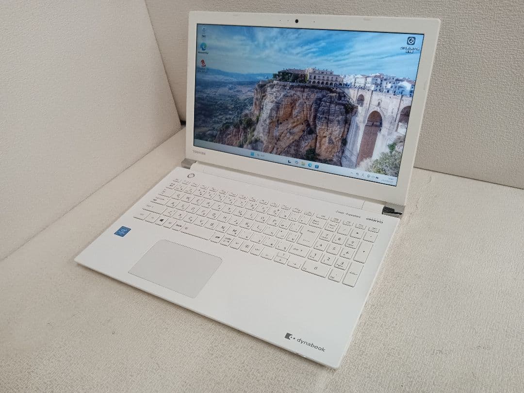 ⊇ dynabook P1X4JDDW メモリ16GB ストレージ無