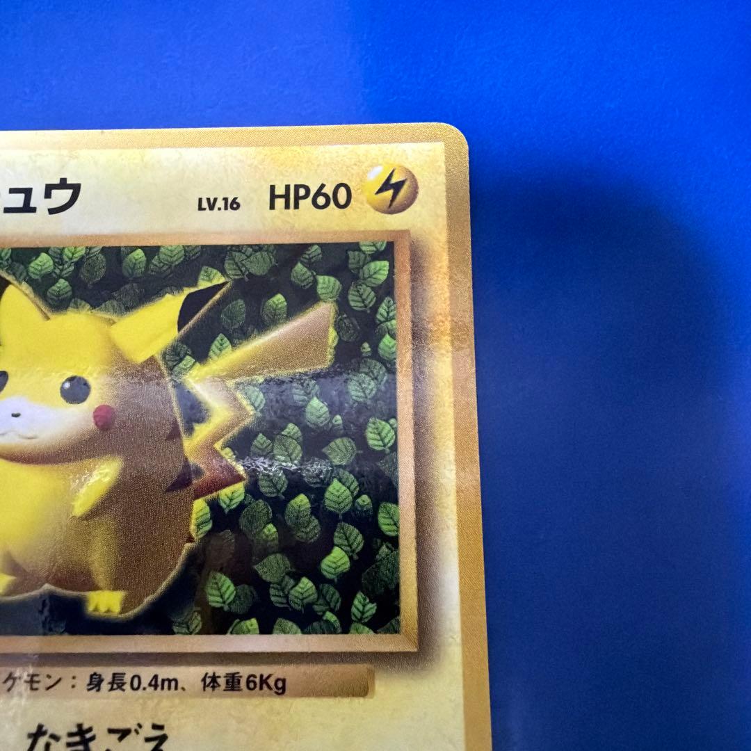 旧裏　極上美品　ピカチュウ 第1弾拡張パック　初版　マーク無し　かじる