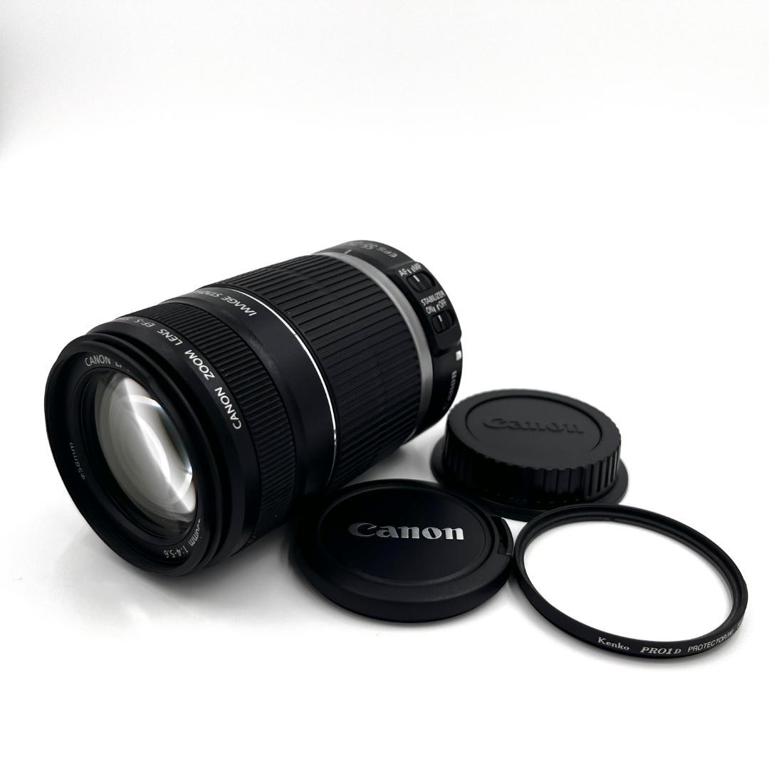 Canon EF-S 55-250mm IS 望遠レンズ 手振れ補正 #307