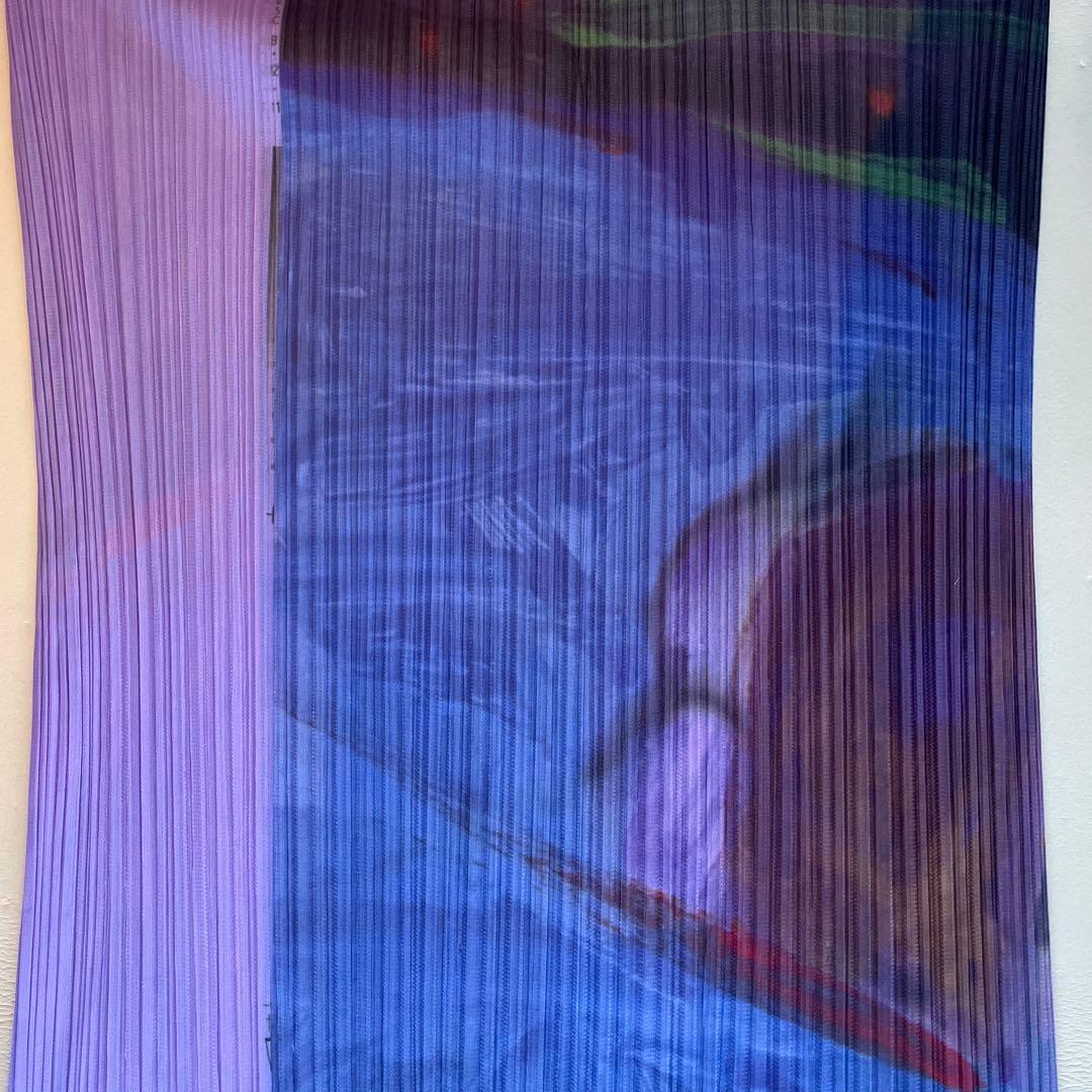 プリーツプリーズ　アラーキーコラボワンピース