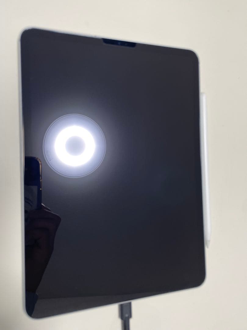 【美品】iPadPro11インチ 第1世代256GB ApplePencil付