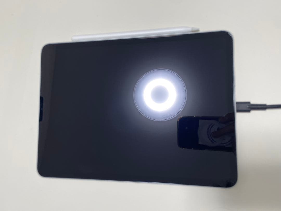 【美品】iPadPro11インチ 第1世代256GB ApplePencil付