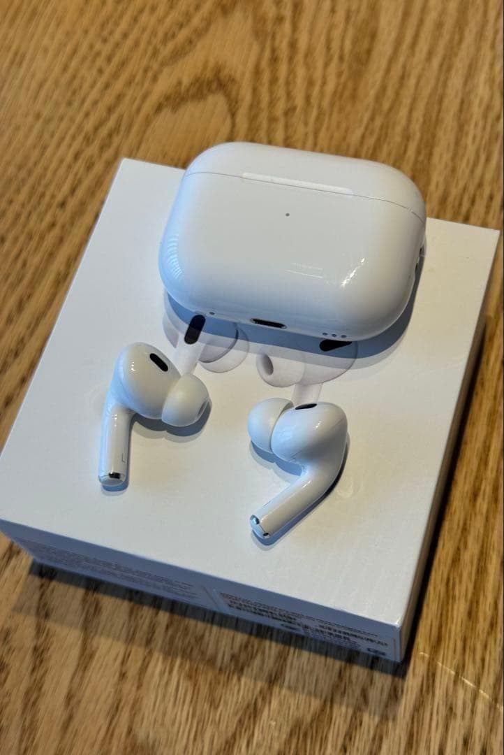 Apple AirPods Pro 第1世代 MWP22J/A 動作○ 付属完備