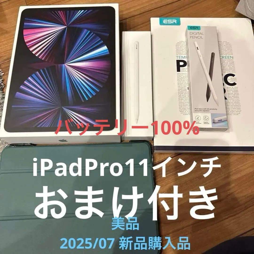 Kent様用　iPad Pro 11 (第3世代) + Appleペンシル