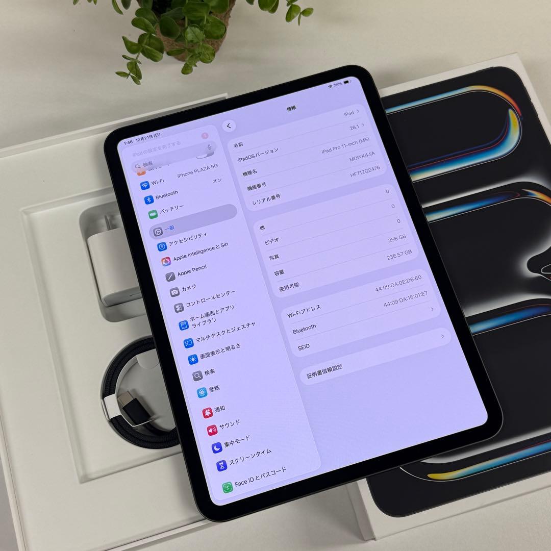 新品同様 iPad Pro M5 11インチ 256GB 2025年モデル