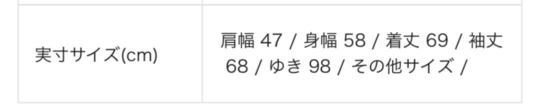 エディーバウアー スカイライナー ダウンジャケット L EB650 ダイヤモンド