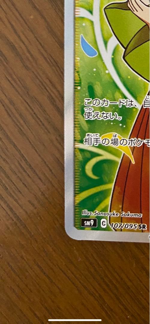 エリカのおもてなし 107／095 sr