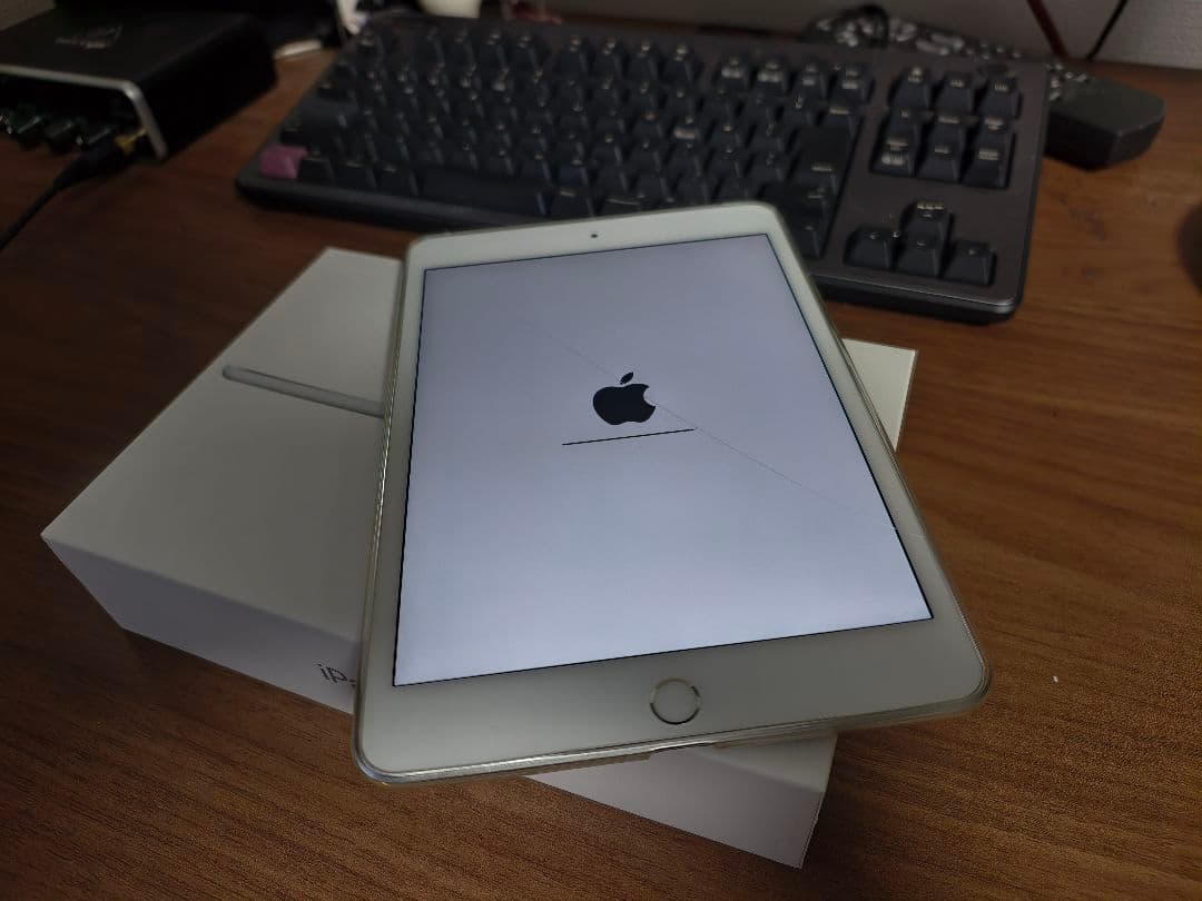 Apple iPad mini 5 シルバー 本体箱付き