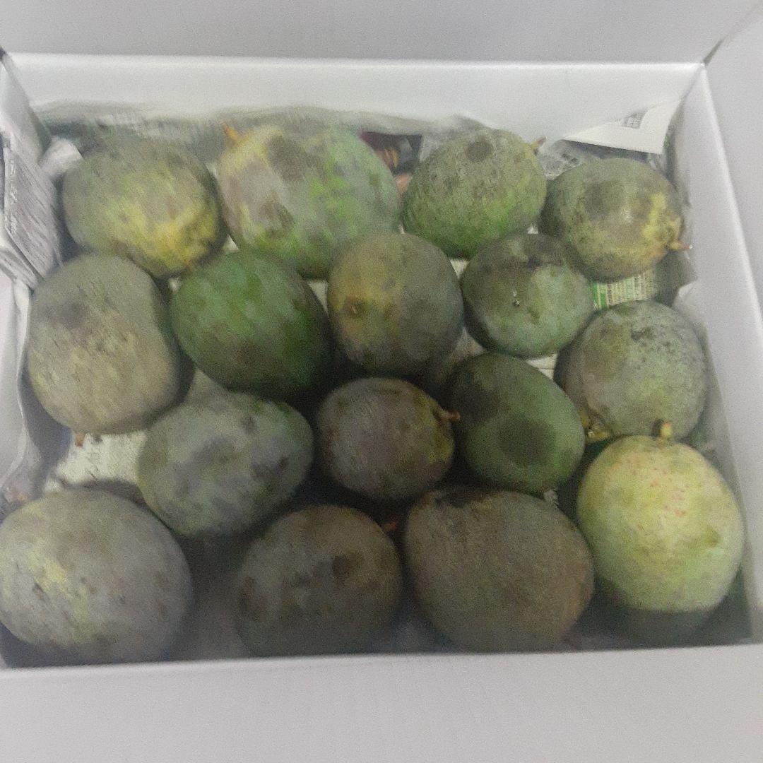 沖縄県産♪キーツマンゴー6㎏①