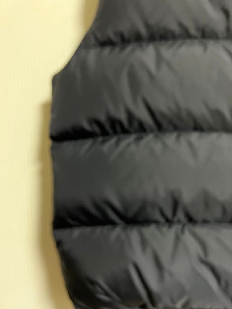 【希少】THE NORTH FACE ダウンベスト L 黒　裏地ペイズリー