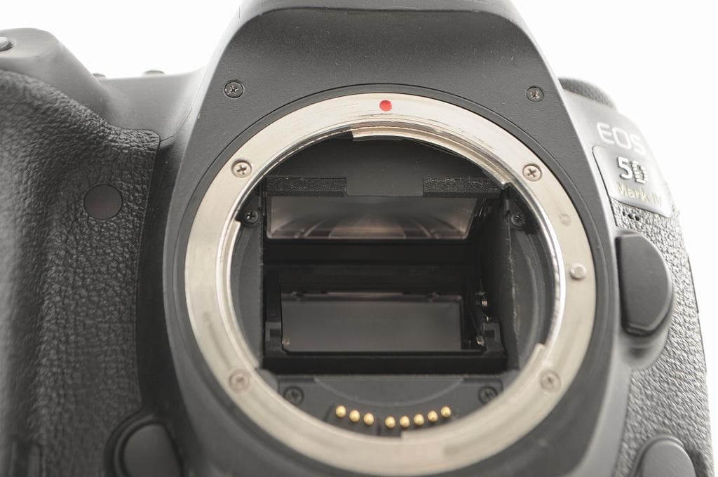 ★美品級★ Canon キヤノン 5D Mark Ⅳ