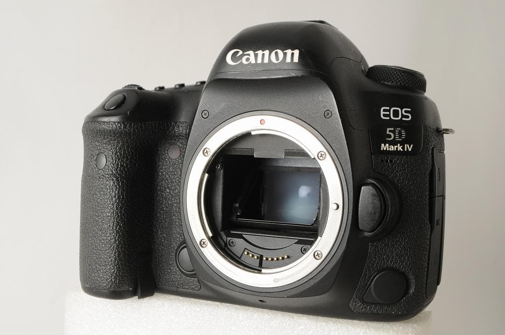 ★美品級★ Canon キヤノン 5D Mark Ⅳ