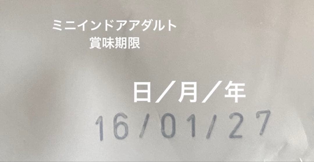 ロイヤルカナン　ミニインドアアダルト　10kg×2袋
