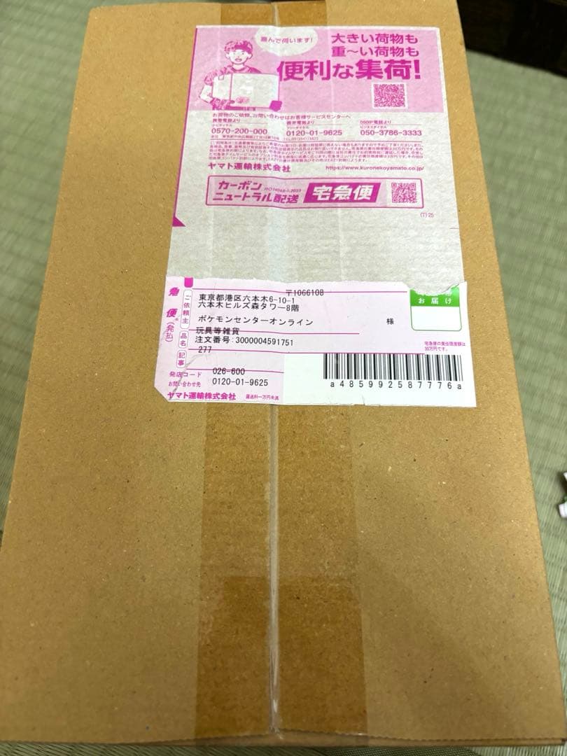 【完全未開封】ポケモンセンタースペシャルBOX トウホク 2次抽選分　ピカチュウ