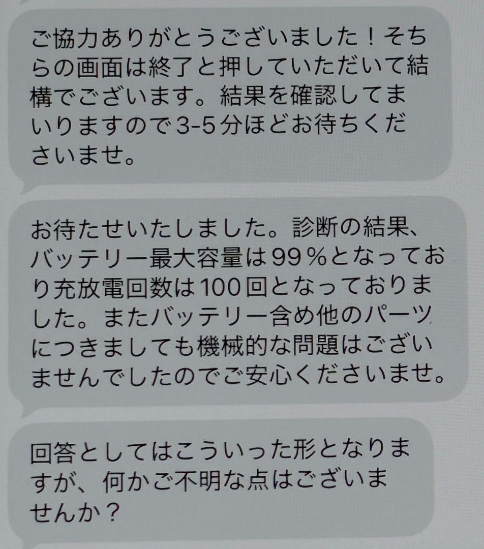 Apple iPad mini 5 256GB 充放電100回