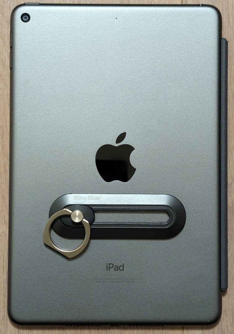 Apple iPad mini 5 256GB 充放電100回