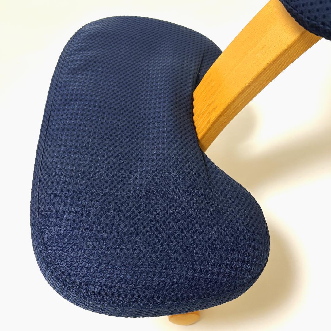 【美品】バランスイージー ネイビー 純正カバー付