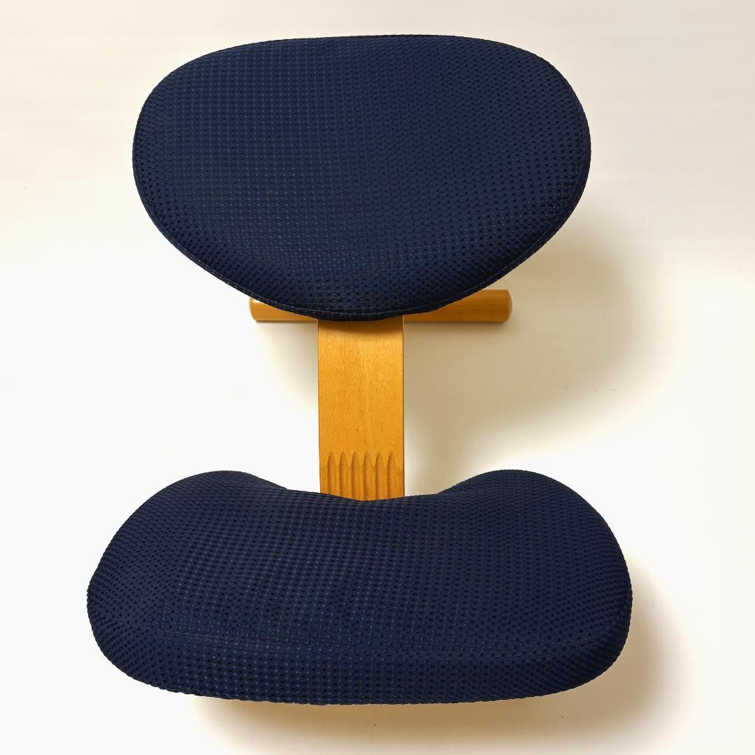 【美品】バランスイージー ネイビー 純正カバー付