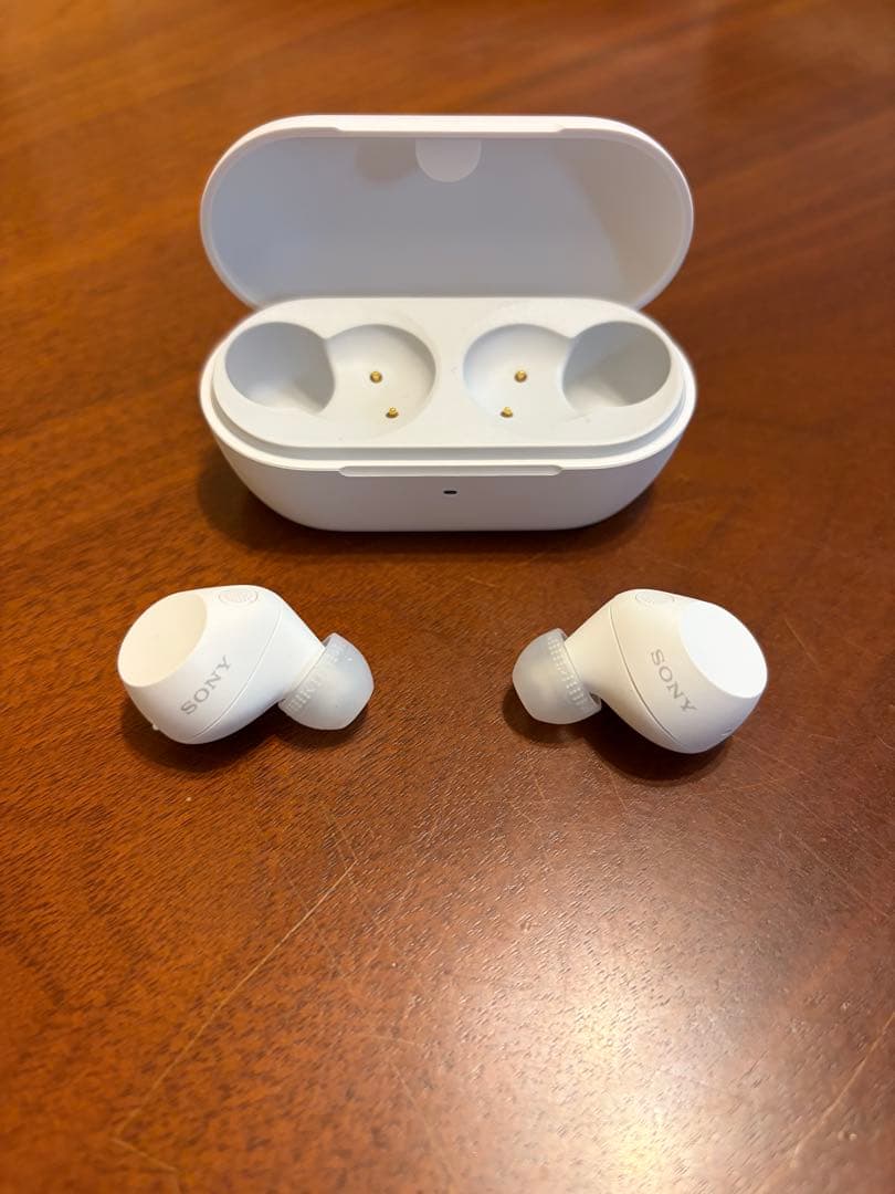 ソニーワイヤレスイヤホン