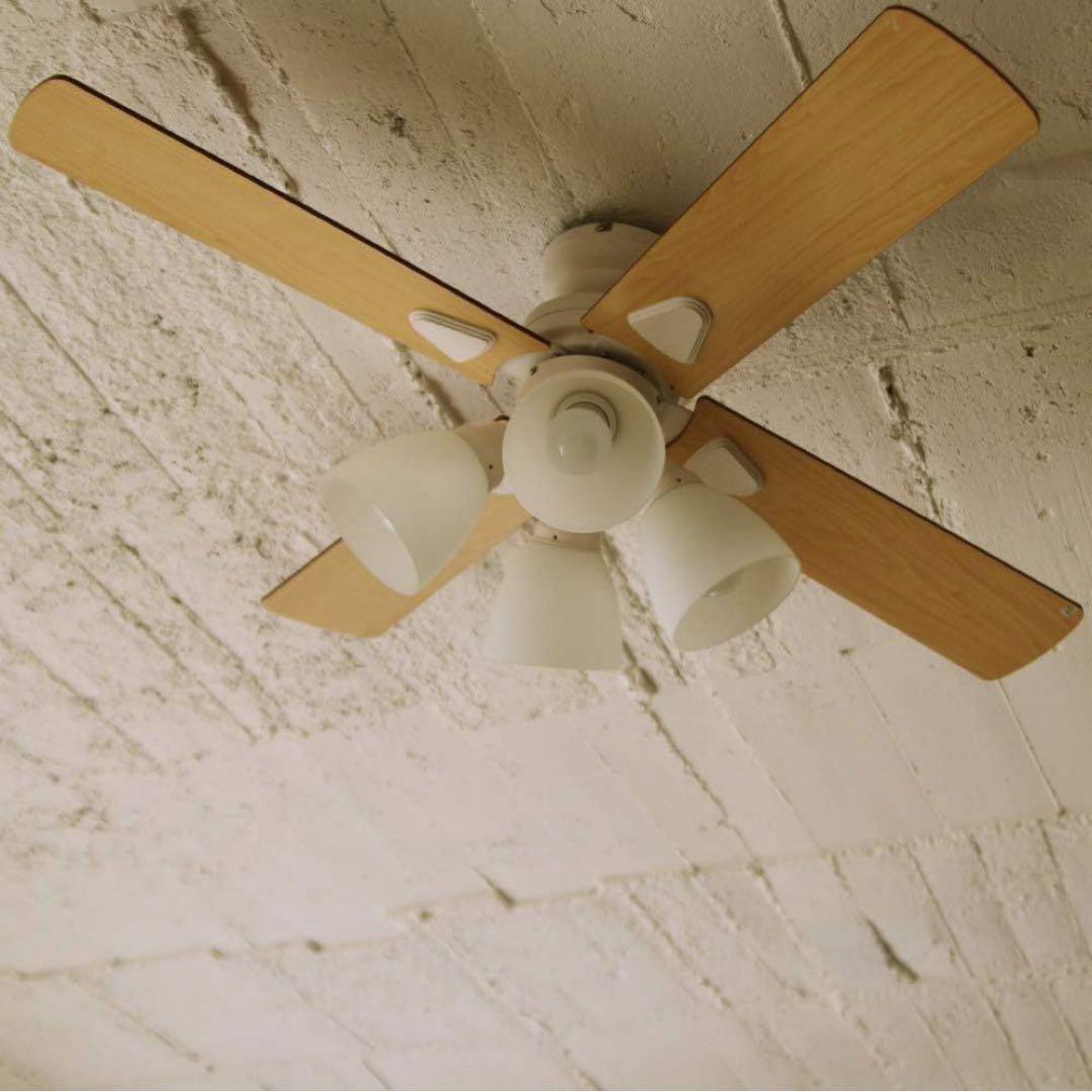 Windouble シーリングファンライト（電球付）