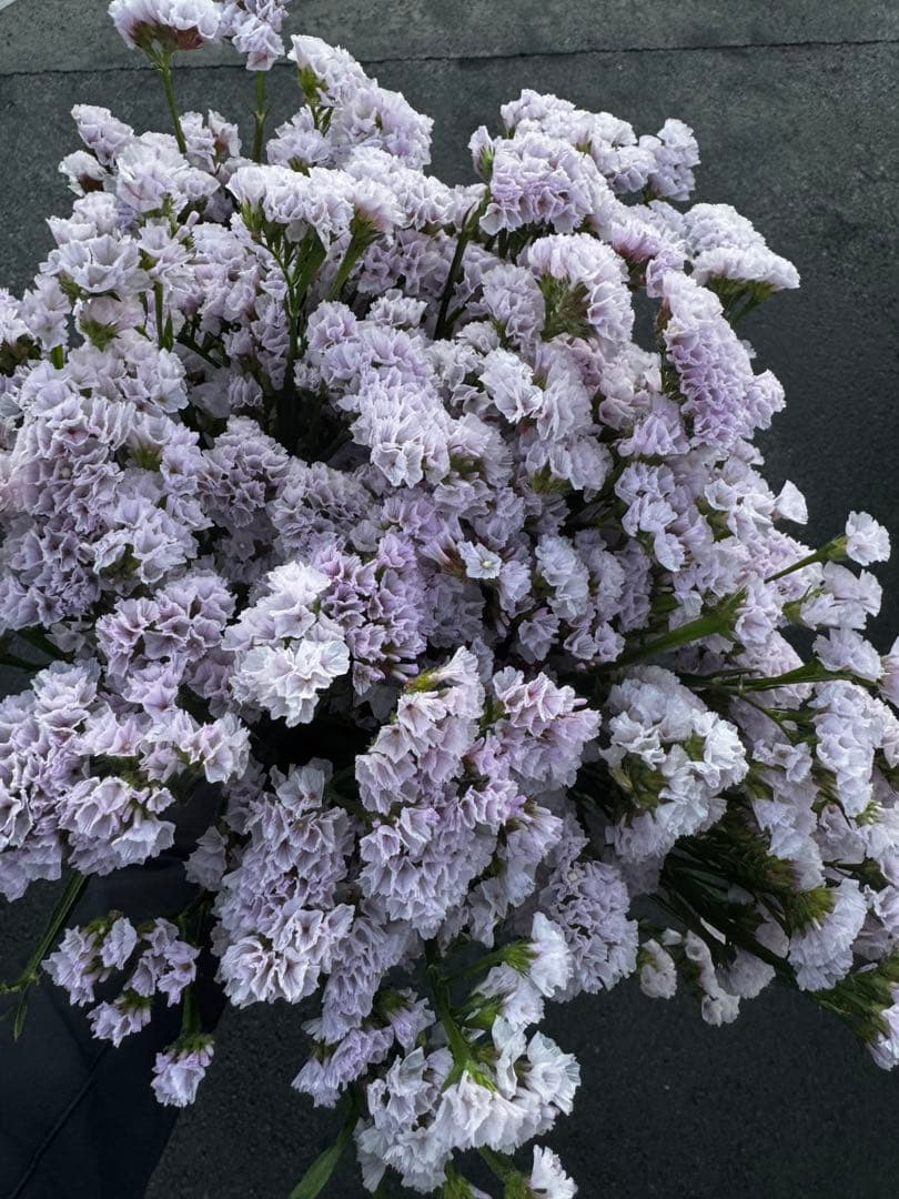 Ne*　インスタ　@ne_0403様 リクエスト 2点 まとめ商品