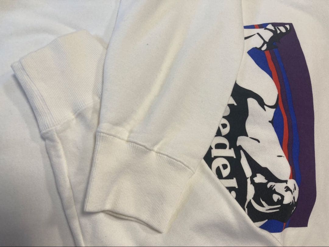 【希少・即完売】ヒステリックグラマーパタゴニア風バックロゴ入りスウェット L