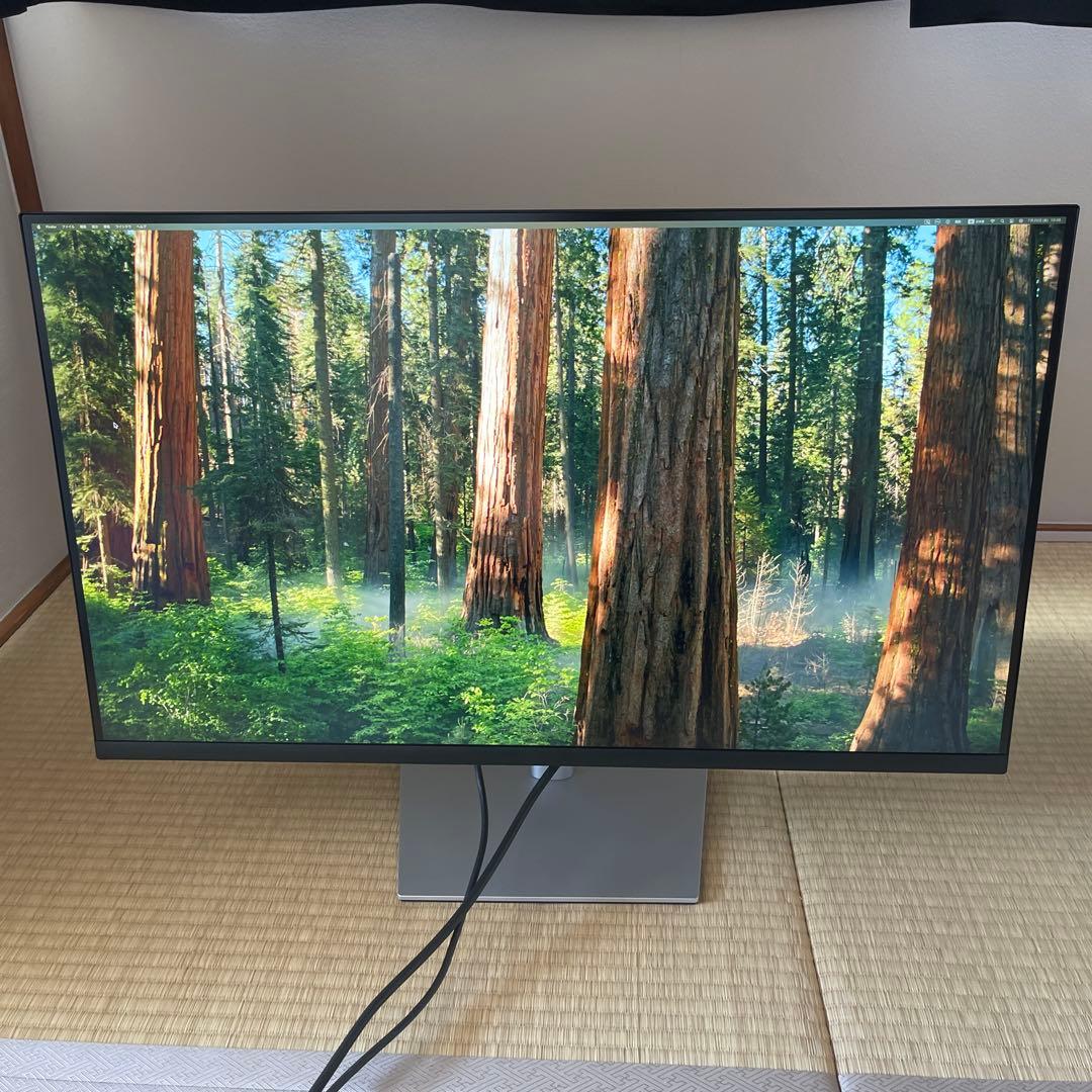 Dell 32インチ4K USB-Cハブ モニター P3223QE 保証付　32