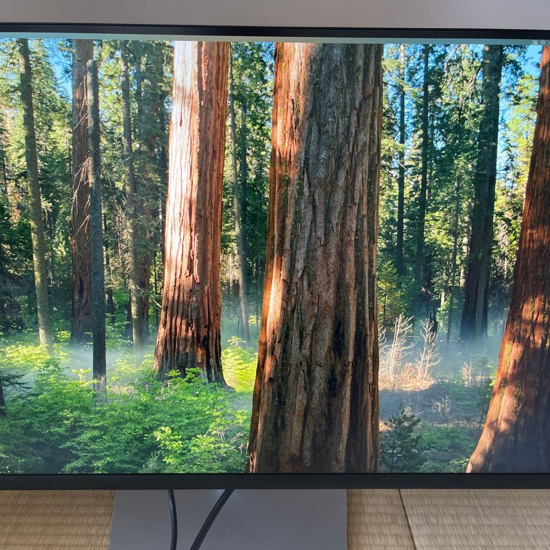 Dell 32インチ4K USB-Cハブ モニター P3223QE 保証付　32