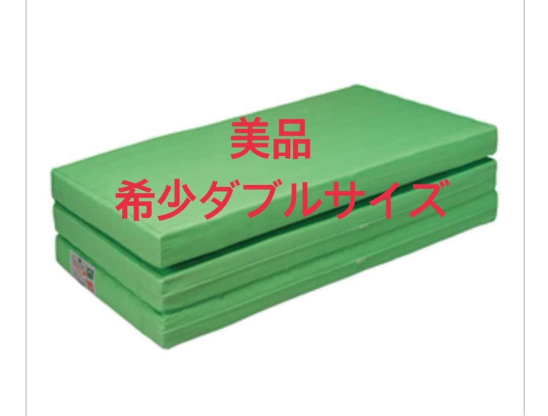 【美品】ヘルスウェーブゴールドDCバージョン ダブル