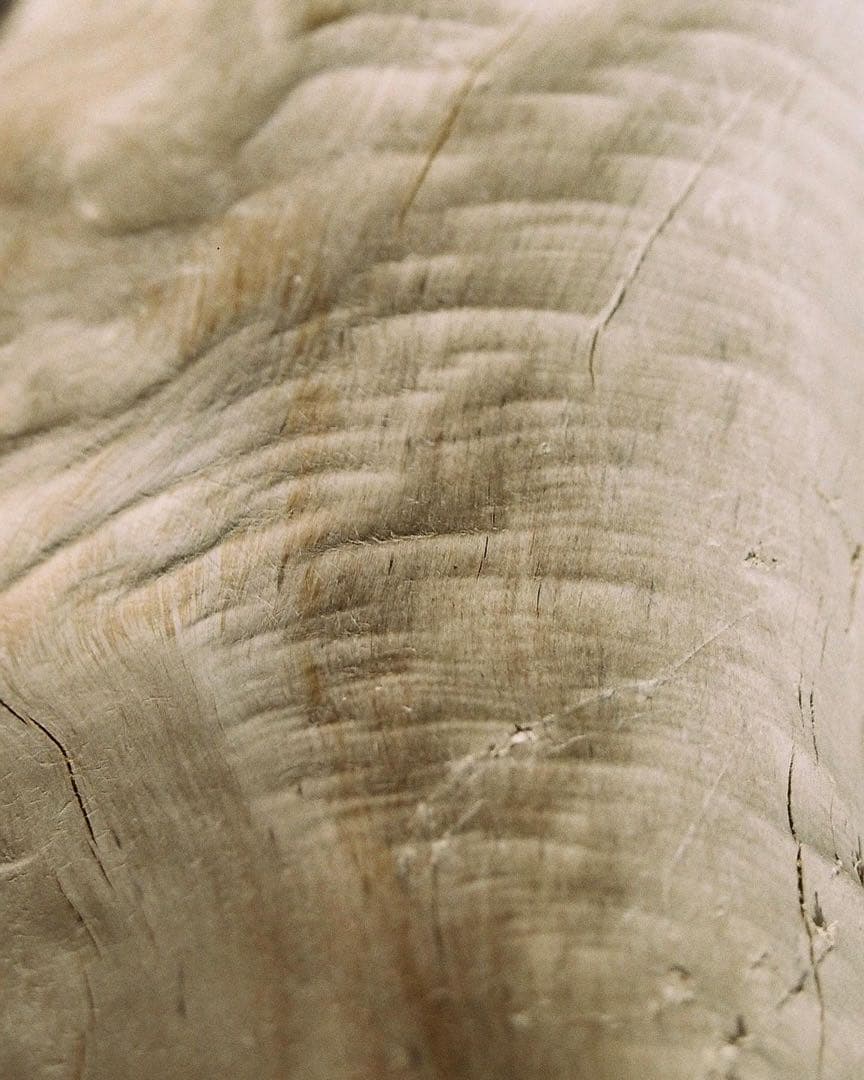 Canon EOS 5 フィルム一眼レフカメラ　動作確認済み