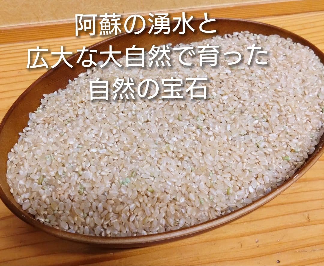 R7年 自然栽培米 2品種食べ比べセット10kg（5kg×2）玄米