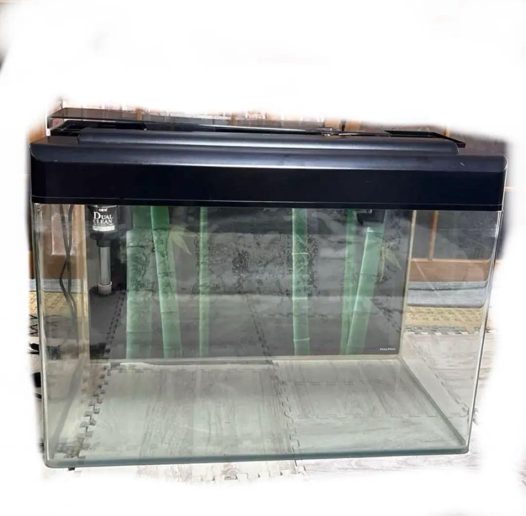 専用　⚫︎GEX ガラス水槽 セット　フィルター バラ売り可