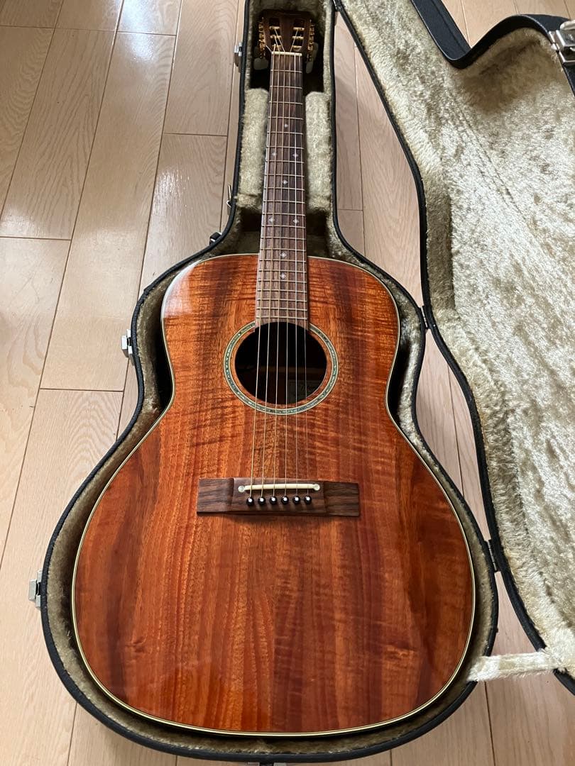 オールコア Takamine PTU409K