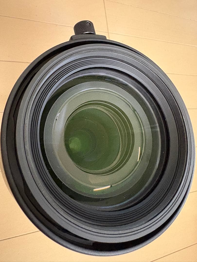 SIGMA 60-600mm F4.5-6.3 DG OS HSM ニコン用