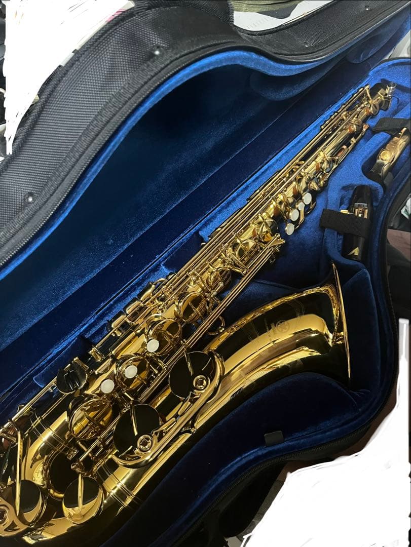 プロテック テナーサックスケース