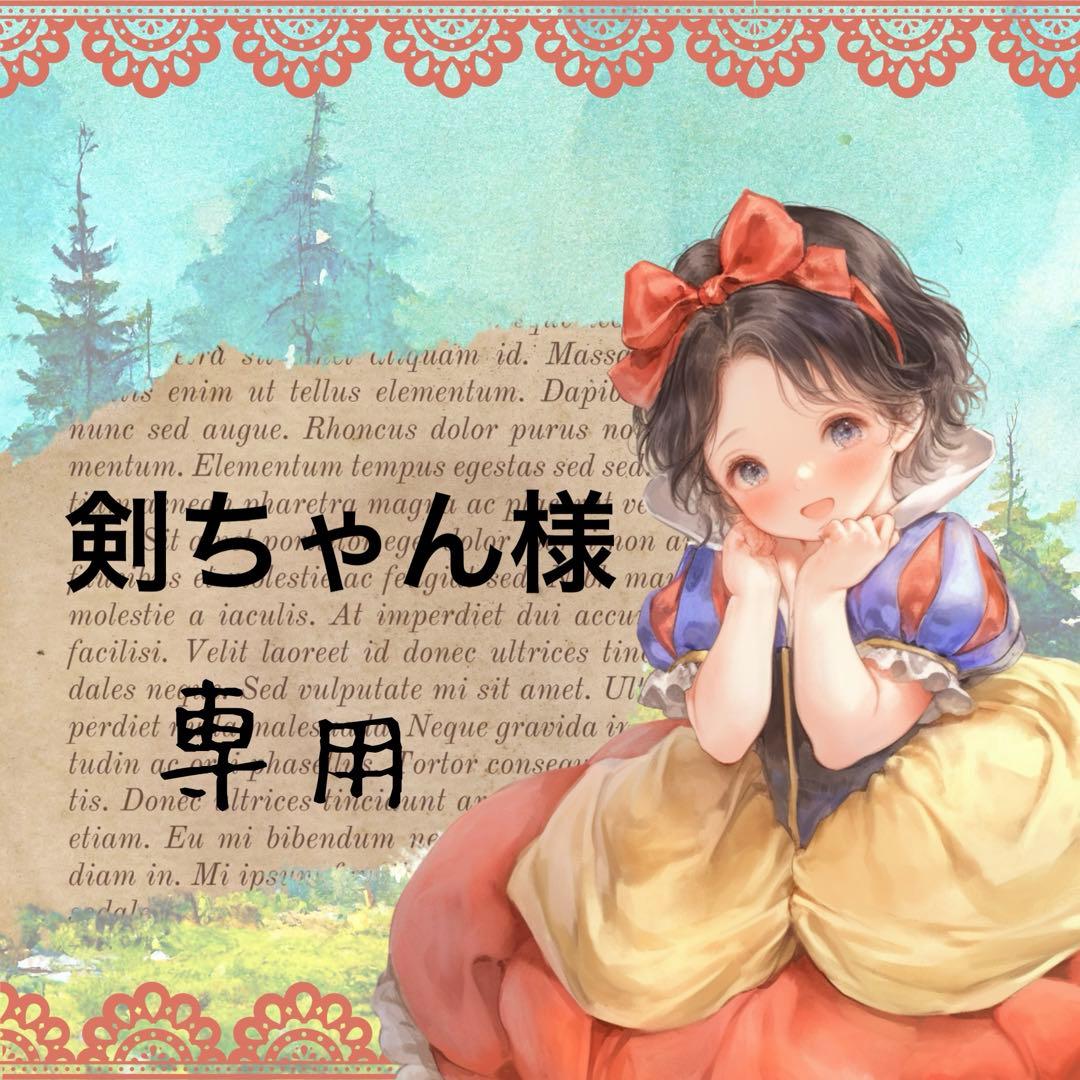 剣ちゃん⋈ *。 （お取り置き8/27〜）