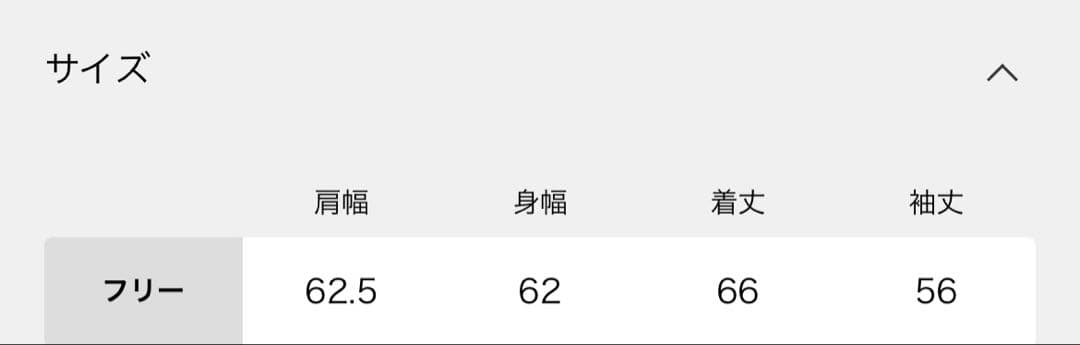 OBLADA STEADY Tシャツ Spick&Span