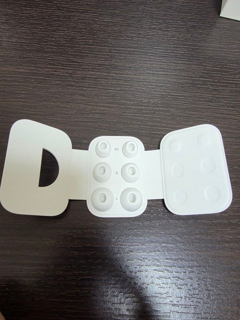 Apple AirPods Pro 第２世代本体 Type C対応