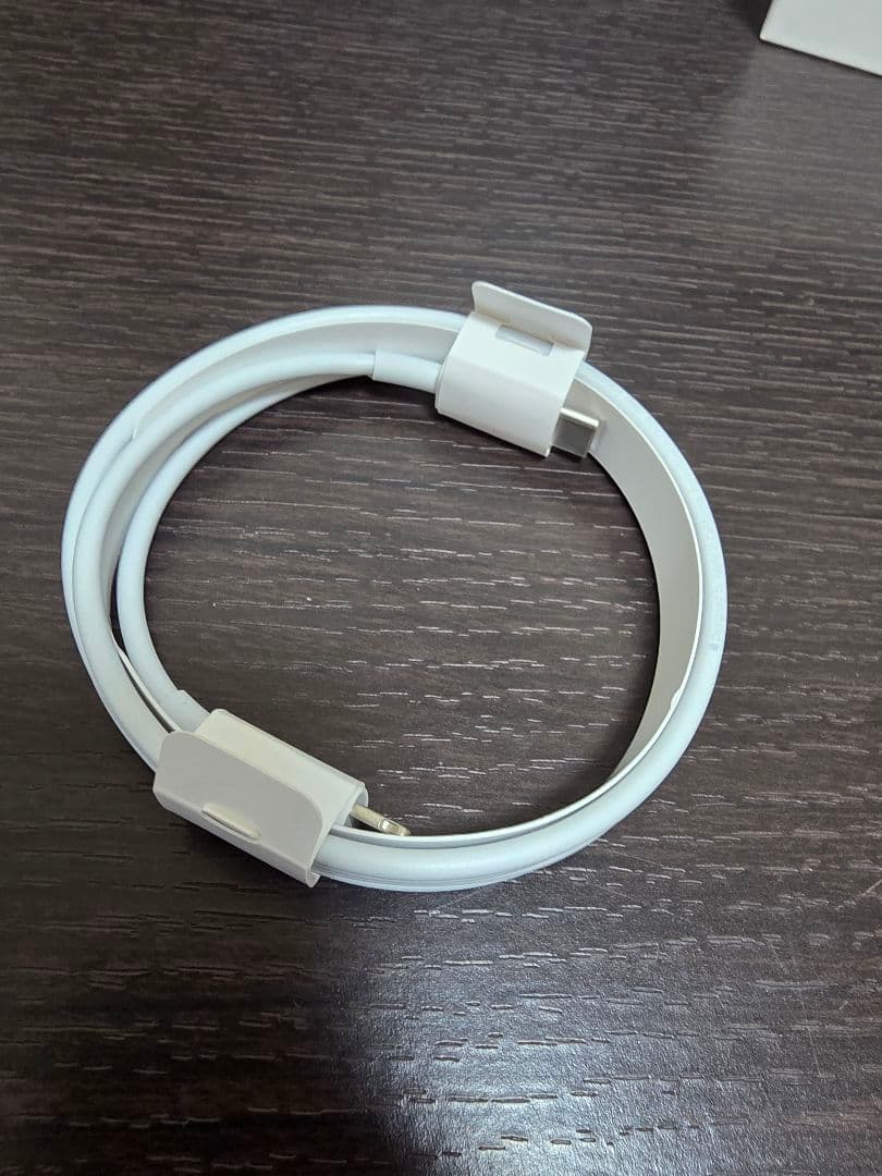 Apple AirPods Pro 第２世代本体 Type C対応