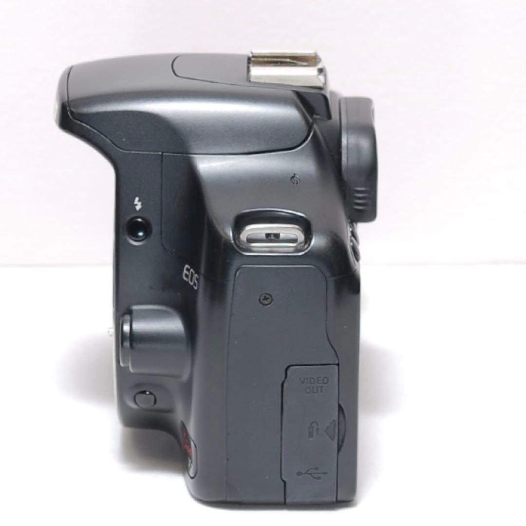 ✨超望遠レンズデビュー✨Canon Kiss X2✨ ダブルレンズ✨少シャッター