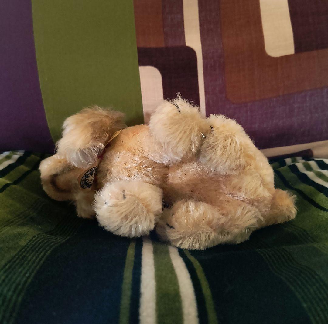 ドイツヴィンテージ オールドシュタイフ コッカースパニエル REVUE SUSI