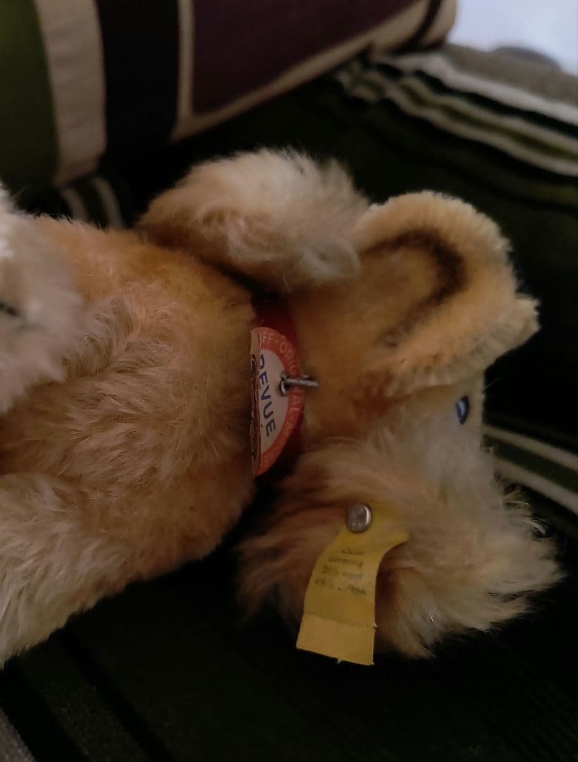 ドイツヴィンテージ オールドシュタイフ コッカースパニエル REVUE SUSI